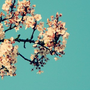 四川BBB搡BBB搡多人刮
