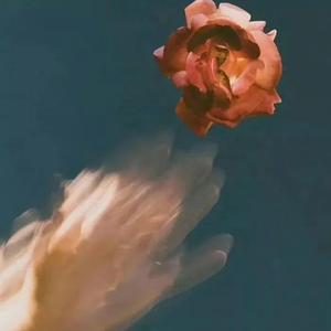 四川BBB搡BBB搡多人刮
